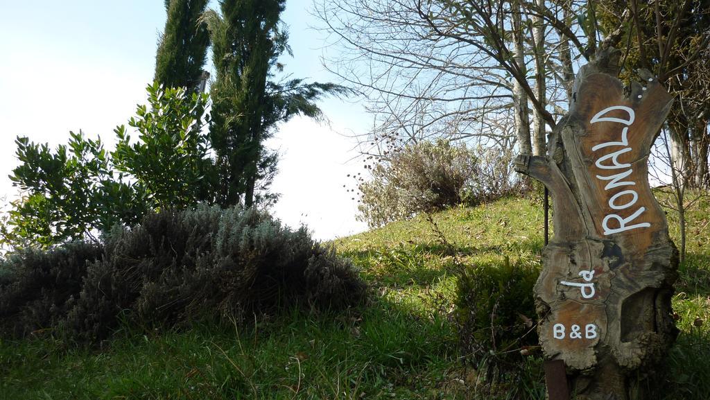 Penzion Da Ronald ... A Pian Del Papa Pratovecchio Exteriér fotografie