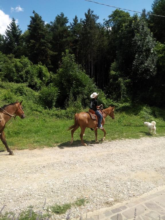 Penzion Da Ronald ... A Pian Del Papa Pratovecchio Exteriér fotografie